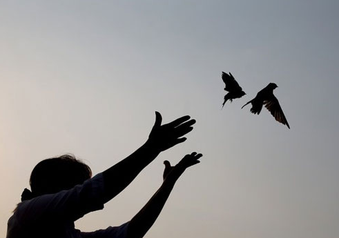 Phóng sinh đúng cách tăng trưởng phước báu